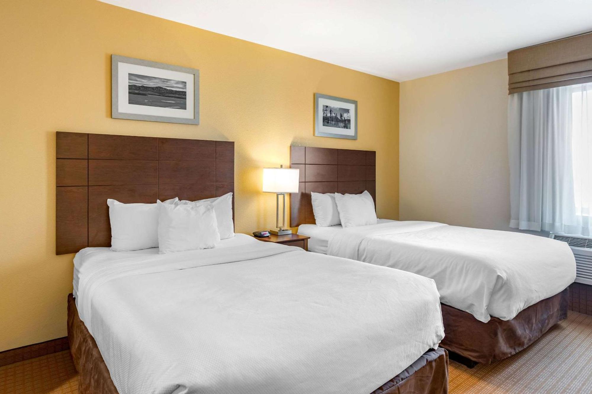 Mainstay Suites Near Denver Downtown Ngoại thất bức ảnh